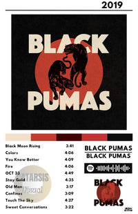 Cuadro Black Pumas - Black Pumas