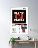 Cuadro Black Pumas - Black Pumas