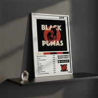 Cuadro Black Pumas - Black Pumas