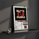 Cuadro Black Pumas - Black Pumas
