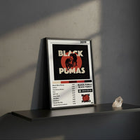 Cuadro Black Pumas - Black Pumas
