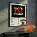 Cuadro Black Pumas - Black Pumas