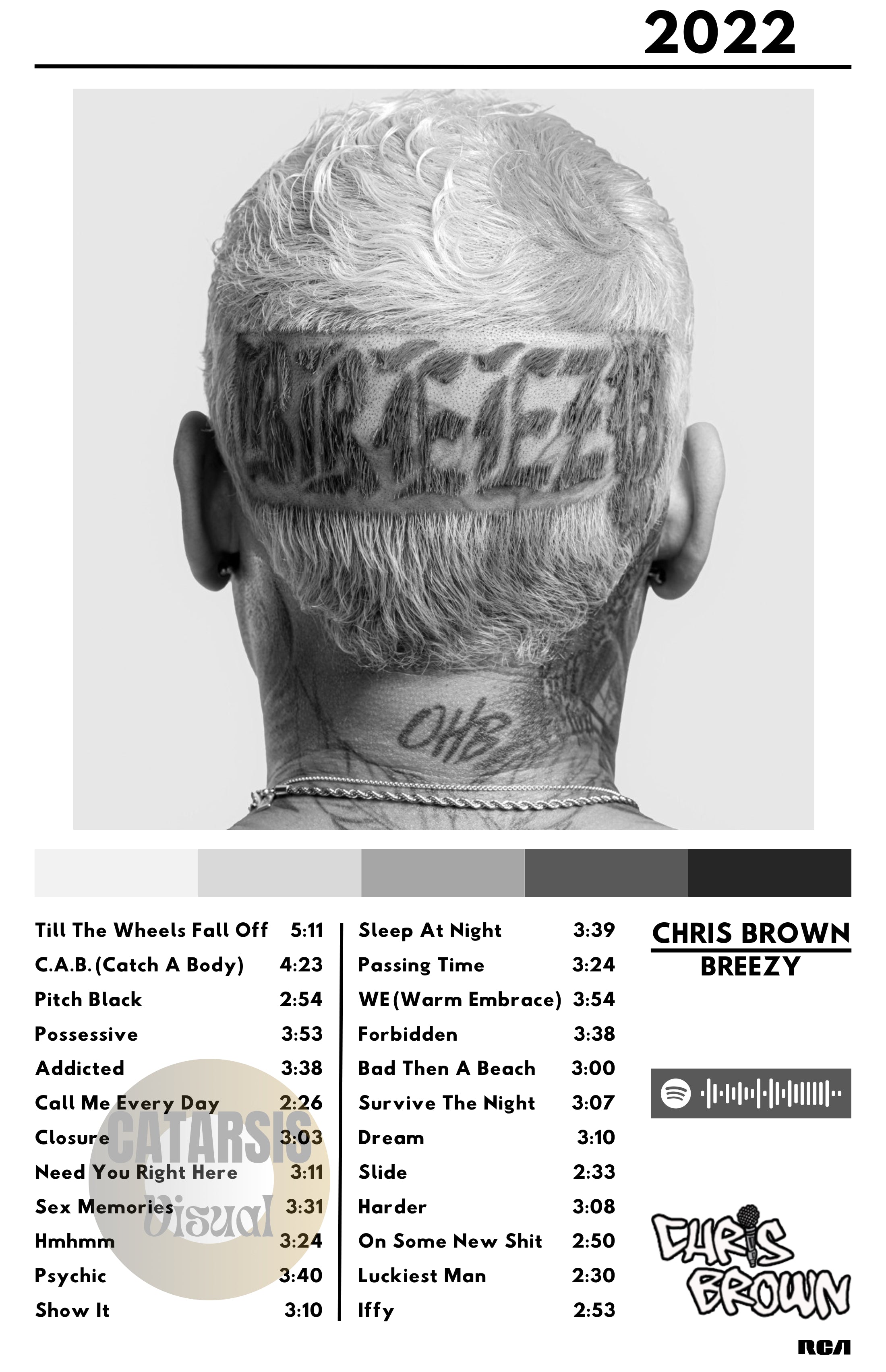 Cuadro Chris Brown - Breezy