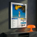 Cuadro Doja Cat - Vie