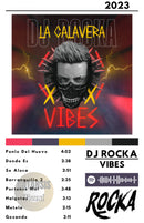 Cuadro Dj Rocka - Vibes