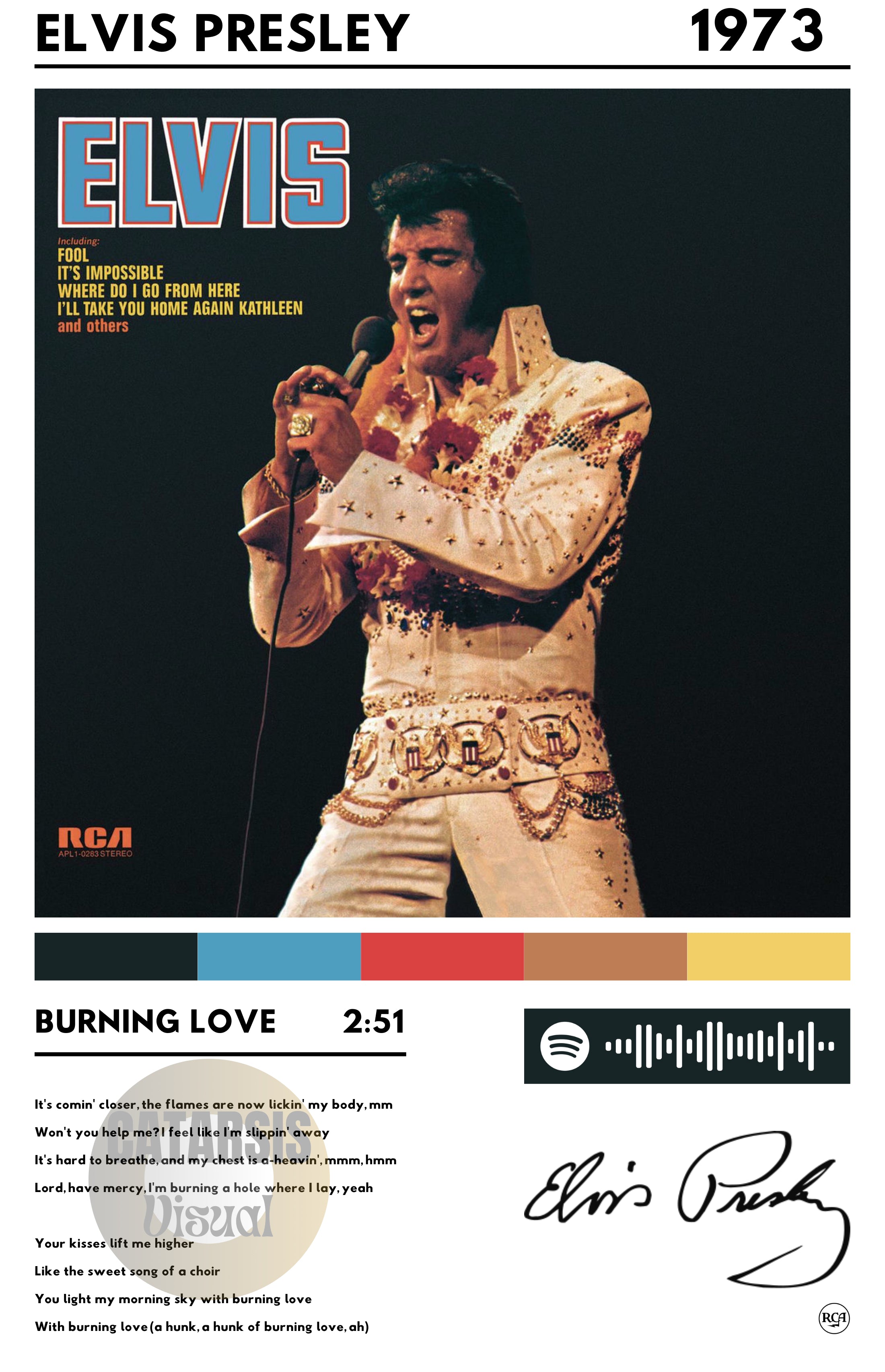 Cuadro Elvis Presley - Burning Love