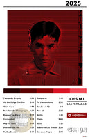 Cuadro Cris MJ - Las Filtradas