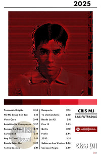 Cuadro Cris MJ - Las Filtradas