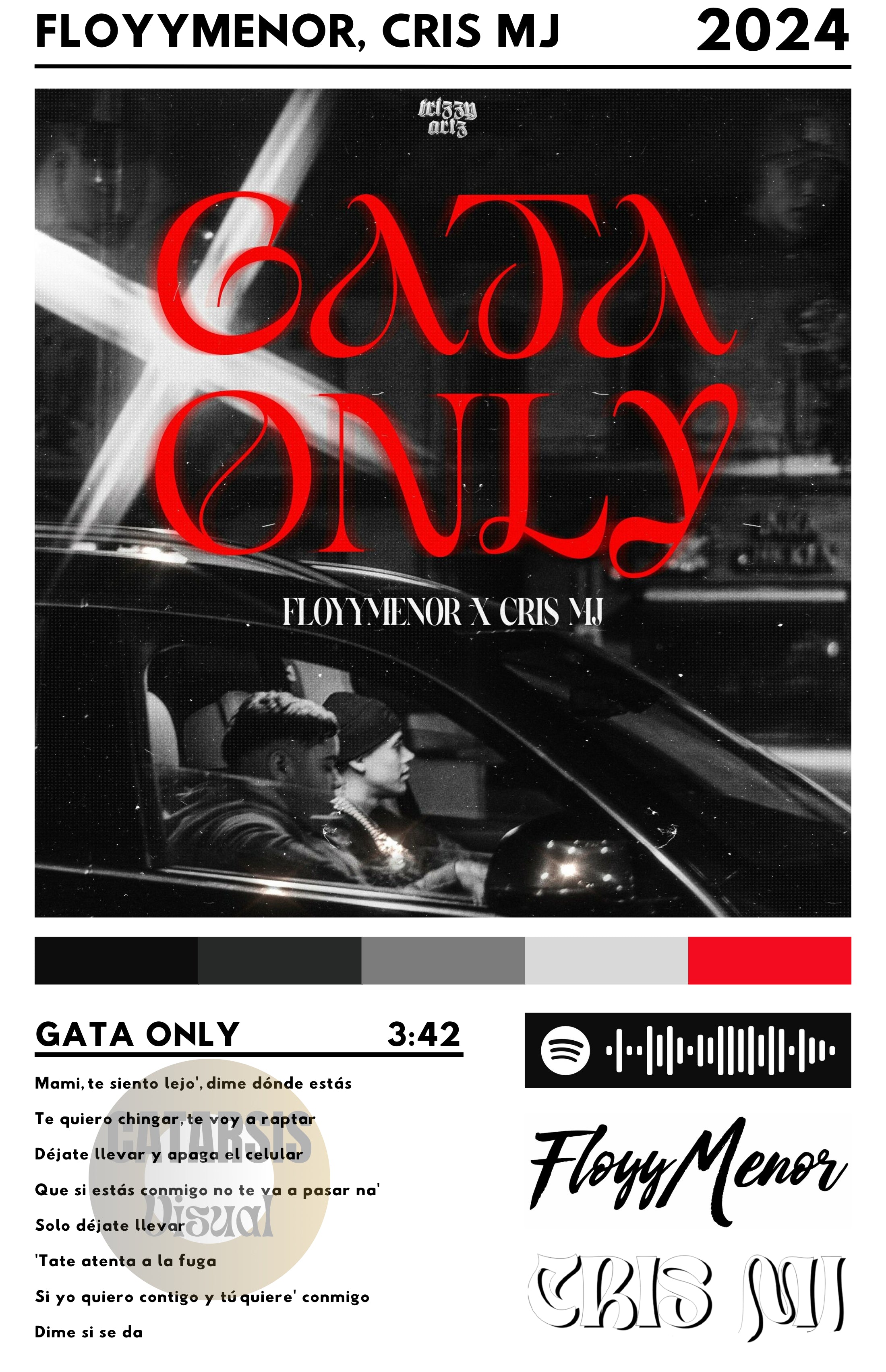 Cuadro Cris MJ - Gata Only