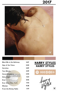Cuadro Harry Styles - Harry Styles