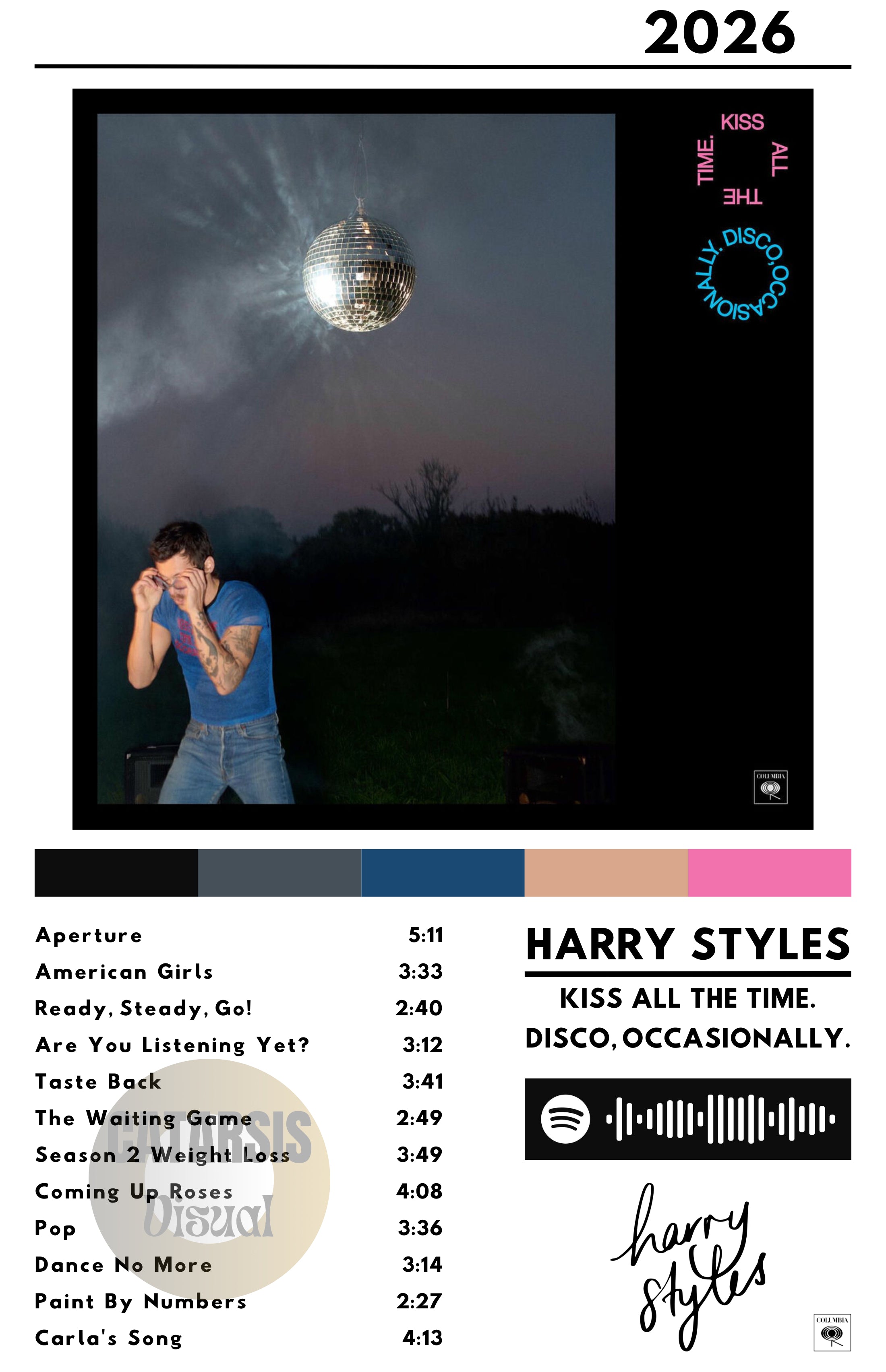 Cuadro Harry Styles - Kiss All The Time. Disco, Occasionally
