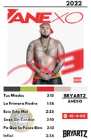 Cuadro Bryartz - Anexo