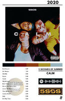 Cuadro 5 Seconds Of Summer - CALM