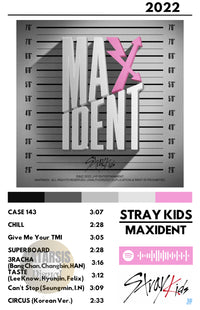 Cuadro Stray Kids - MAXIDENT