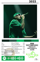 Cuadro Feid - FELIZ CUMPLEAÑOS FERXXO TE PIRATEAMOS EL ÁLBUM (Versión 3)