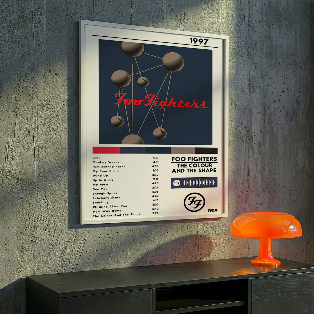 Cuadro Foo Fighters - The Colour and the Shape