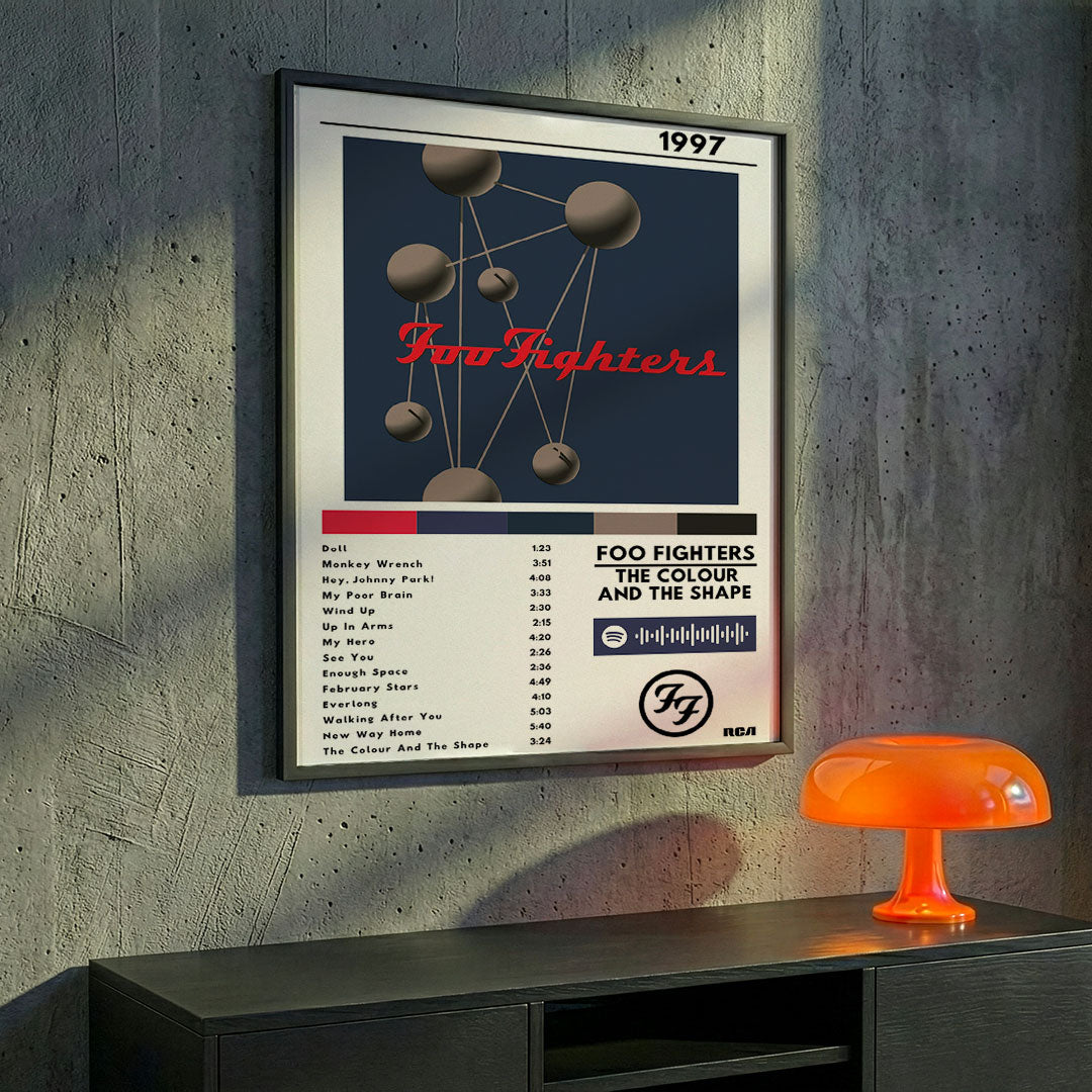 Cuadro Foo Fighters - The Colour and the Shape