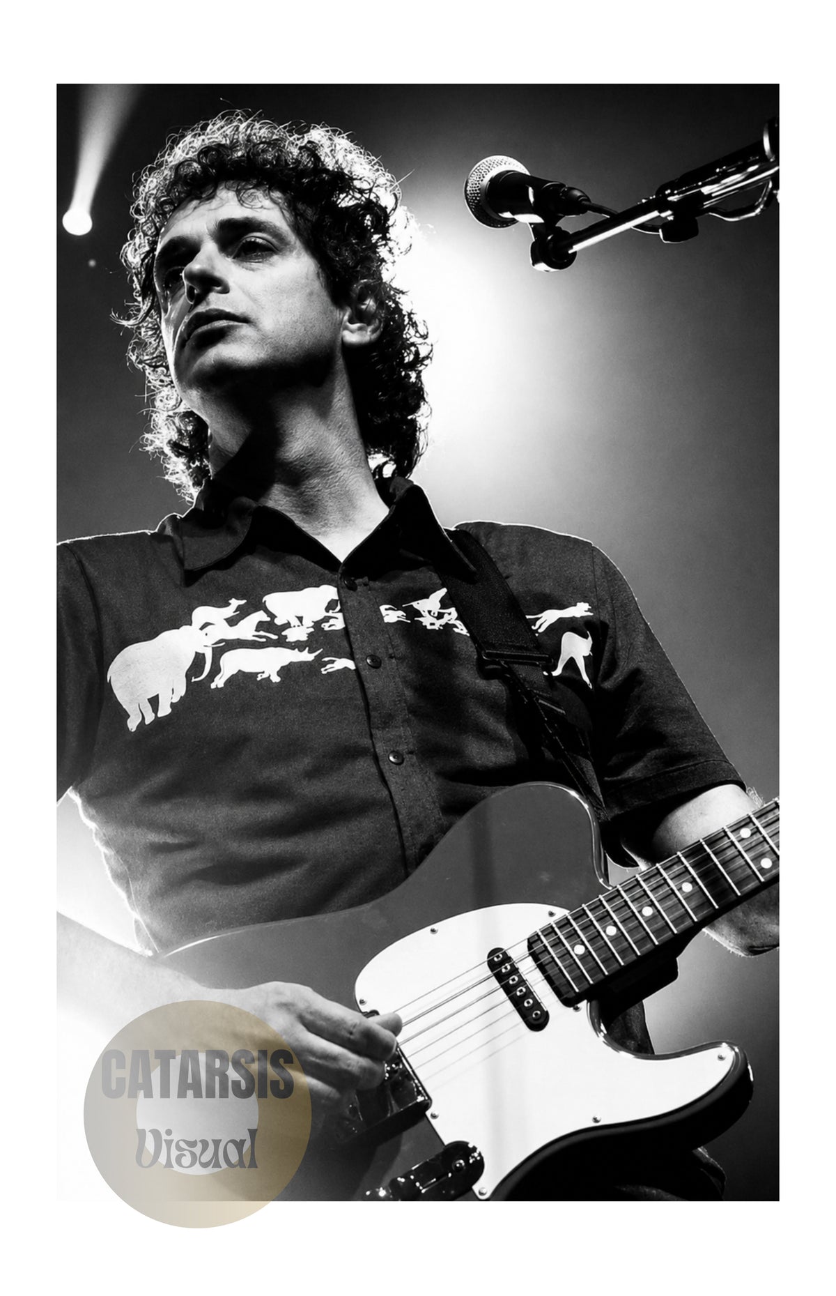 Cuadro Gustavo Cerati - Diseño 2