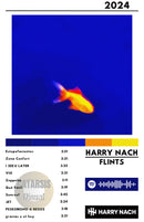 Cuadro Harry Nach - Flints