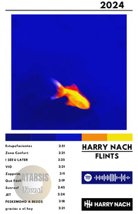 Cuadro Harry Nach - Flints
