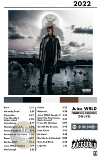 Cuadro Juice WRLD - Fighting Demons