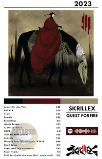 Cuadro Skrillex - Quest of Fire