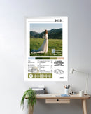 Cuadro Laufey - Everything I Know About Love