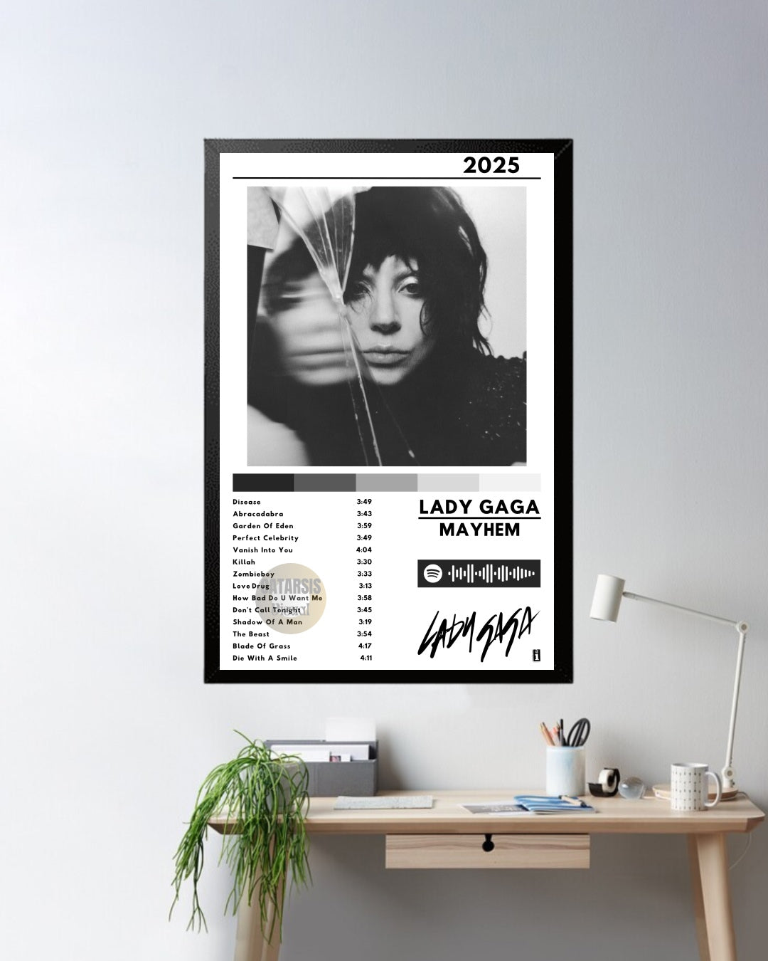 Cuadro Lady Gaga - Mayhem