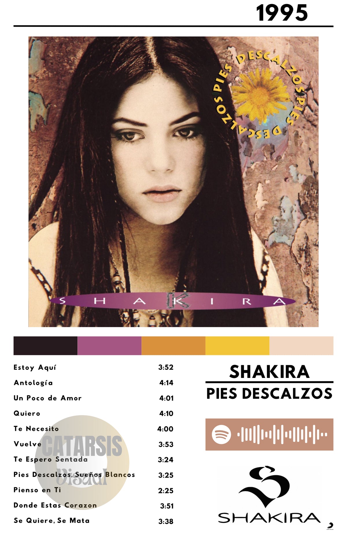 Cuadro  Shakira - Pies Descalzos