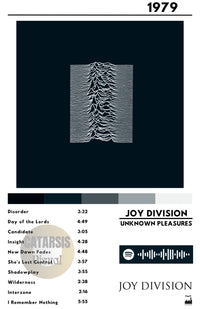Cuadro Joy Division - Unknown Pleasures