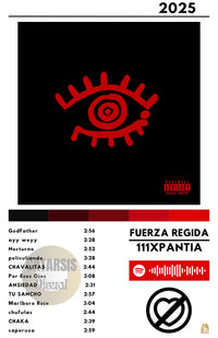 Cuadro Fuerza Regida - 111XPantia