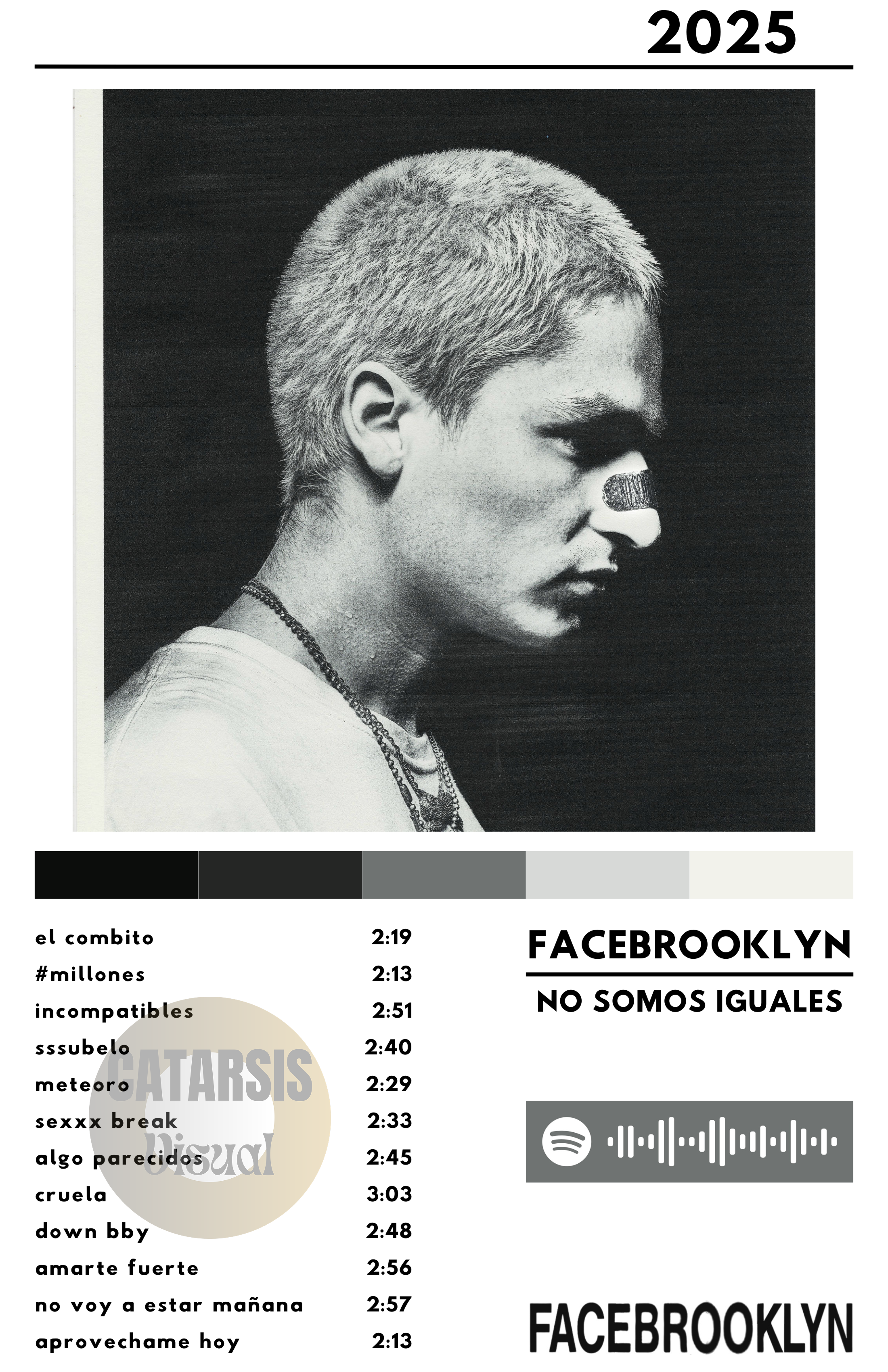 Cuadro FaceBrooklyn - No Somos Iguales