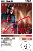 Cuadro Luis Miguel - La Bikina