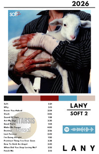 Cuadro Lany - Soft 2