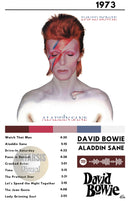 Cuadro David Bowie - Aladdin Sane