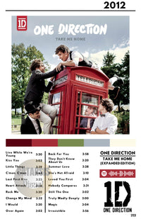 Cuadro One Direction - Take Me Home
