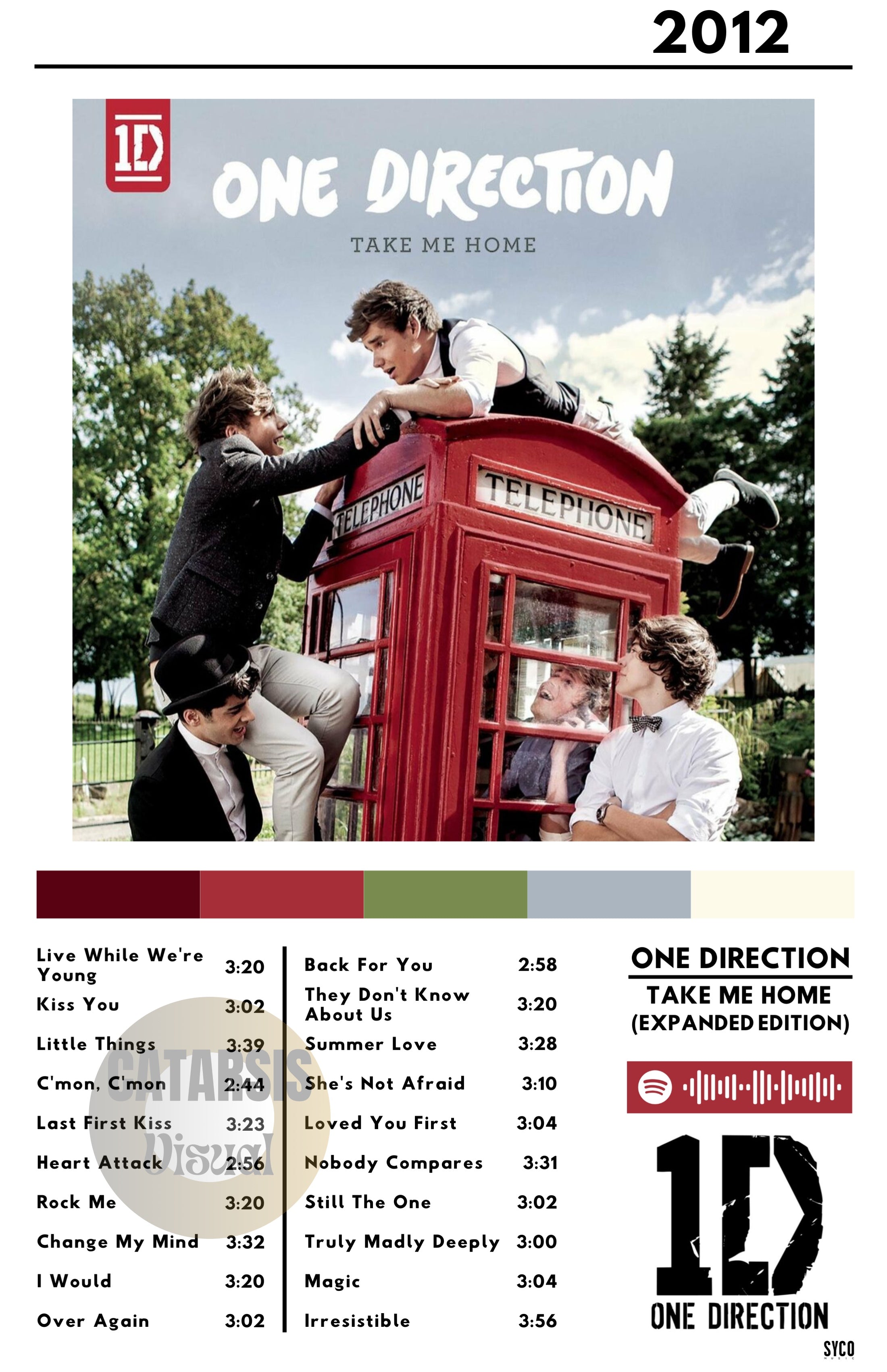 Cuadro One Direction - Take Me Home