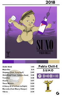 Cuadro Pablo Chill-E - S.U.N.O