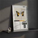 Cuadro Paramore - Brand New Eyes