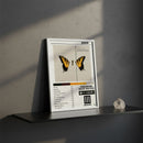 Cuadro Paramore - Brand New Eyes