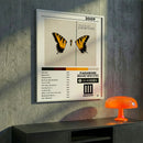Cuadro Paramore - Brand New Eyes
