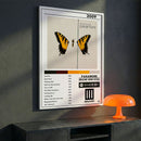 Cuadro Paramore - Brand New Eyes