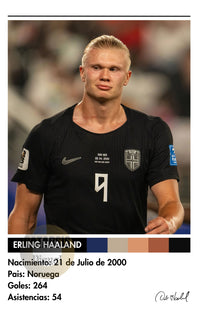 Cuadro Erling Haaland
