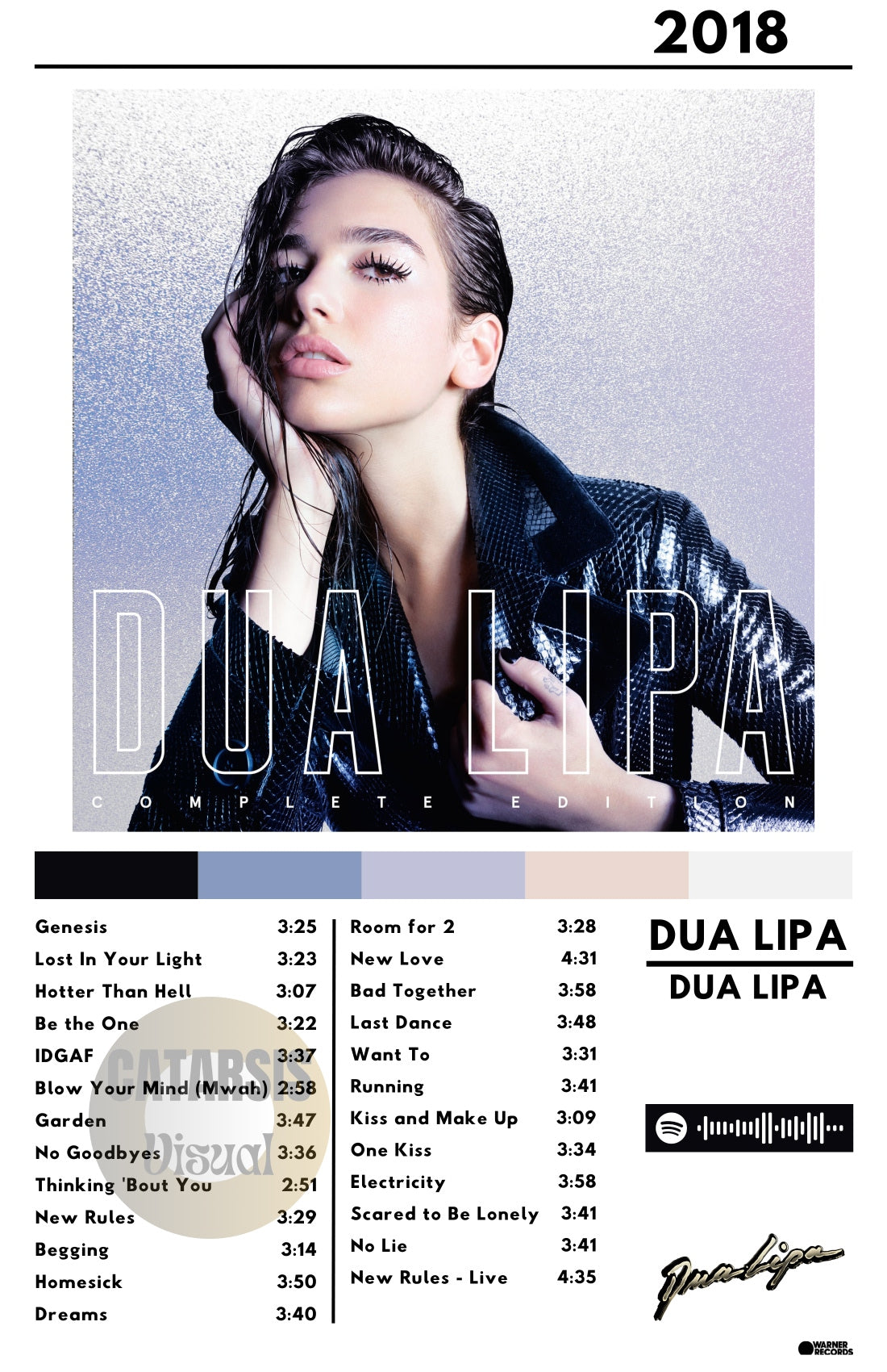 Cuadro Dua Lipa - Dua Lipa
