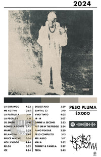 Cuadro Peso Pluma - ÉXODO