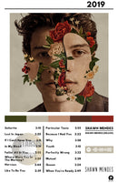 Cuadro Shawn Mendes - Shawn Mendes