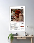 Cuadro Taylor Swift - Red (TV)