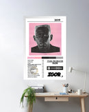 Cuadro Tyler, the Creator - IGOR