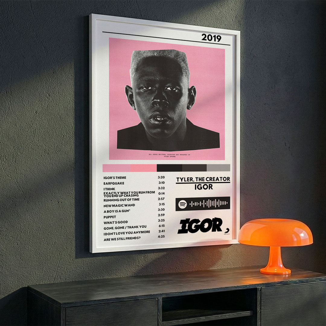Cuadro Tyler, the Creator - IGOR