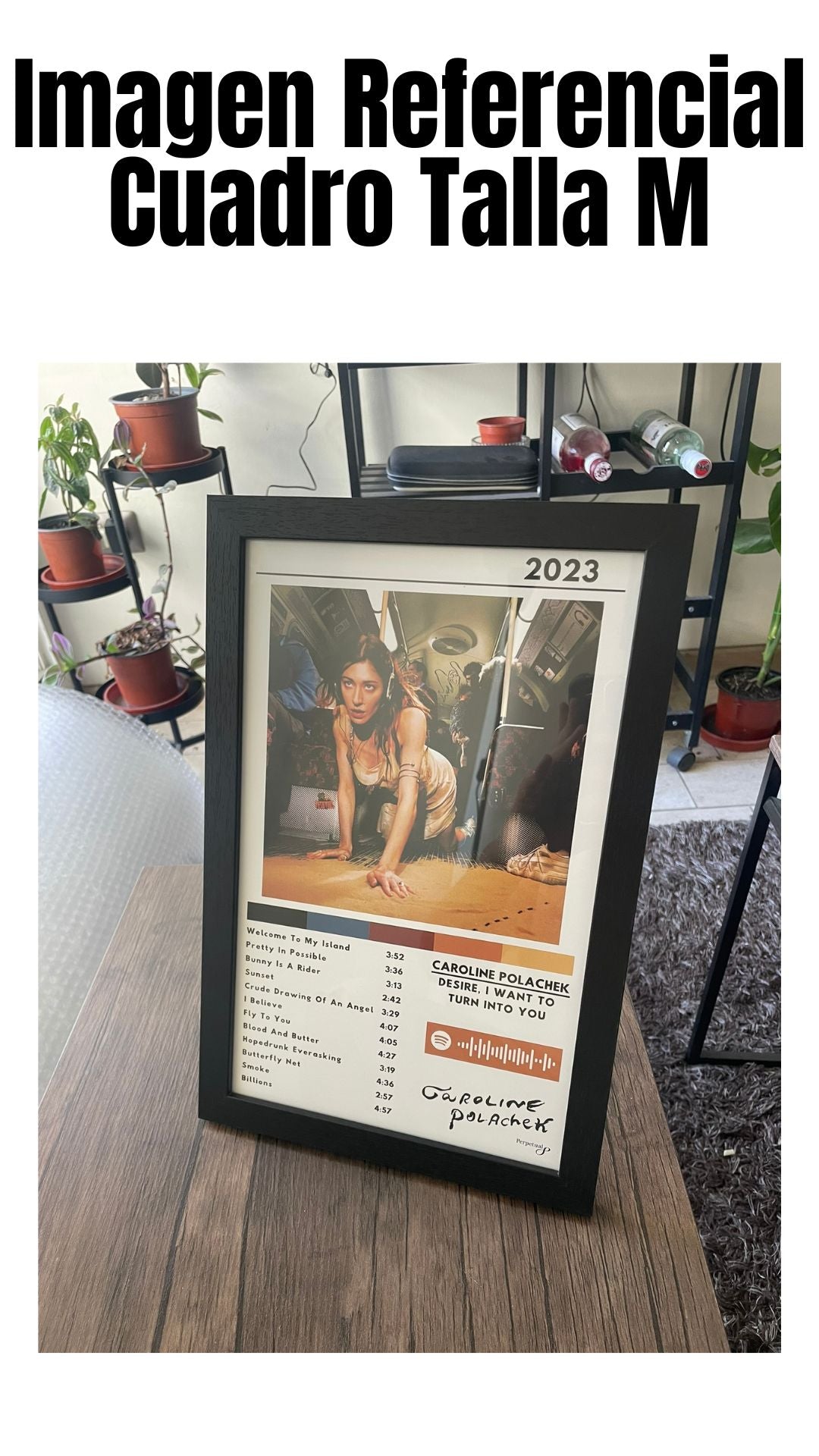 Cuadro Caroline Polachek - Desire, I Want To Turn Into You